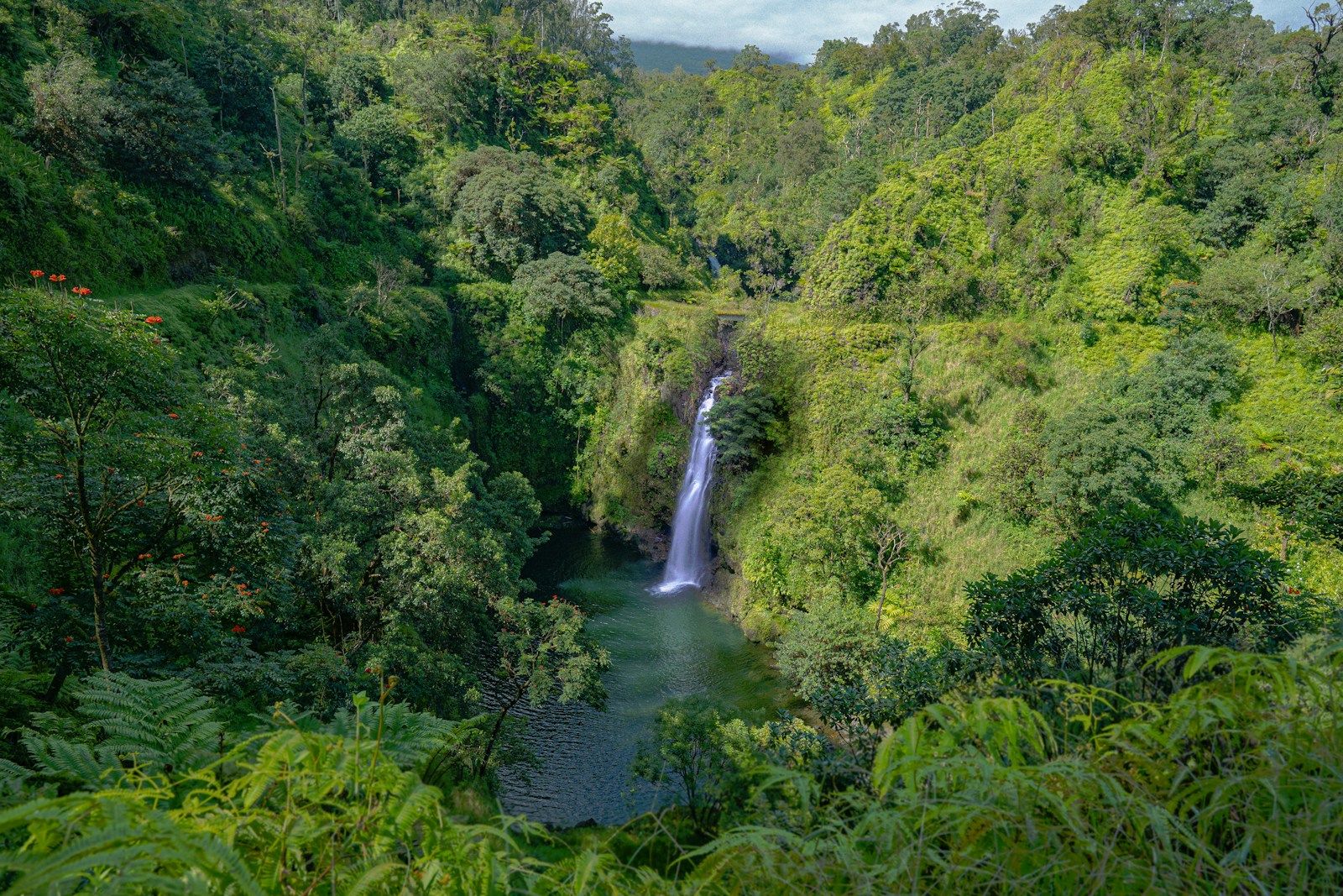 Cascada en la selva junto a la carretera de Hana, en Maui